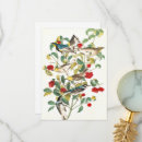 Search for audubon cards Nature