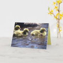 Search for geese cards Babies