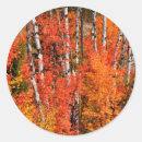 Search for larry stickers Colour