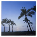 Search for hawaii tiles Blue
