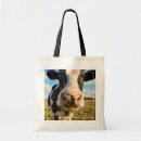 Search for holstein bags Dairy cattle