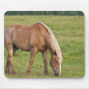 Search for new brunswick mousepads Nobody