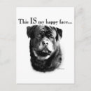 Search for rottweiler stuff postcards Rottie