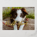 Search for funny dog new years cards Happy new year