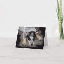 Search for australian cattle dogs cards Queensland