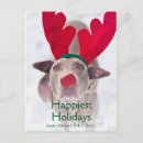 Search for adult christmas cards Usa