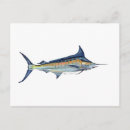 Search for marlin postcards Blue