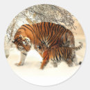 Search for tiger cubs stickers Snow
