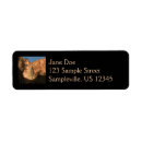 Search for walking return address labels Nature