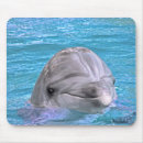 Search for bottlenose dolphin electronics Ocean