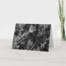 Search for napa cards Photography