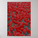 Search for flowerbed art Nature