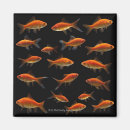 Search for topics magnets Animal