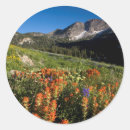 Search for uinta stickers Cache