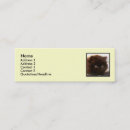 Search for persian business cards Cat