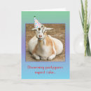 Search for pet goat postcards Humour