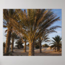 Search for beautiful outdoor scene posters Non urban scene