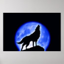 Search for wolf howl Dog