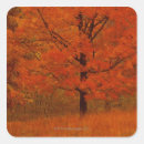 Search for fall scene stickers Orange