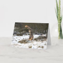 Search for flying eagle cards Raptor