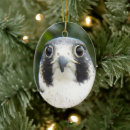 Search for ducks christmas tree decorations Nature photography