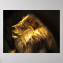 Search for abstract lion art Cat