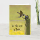 Search for swallow cards Wildlife