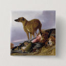 Search for dog napping accessories Sleep