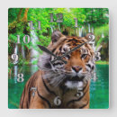 Search for sumatran art Jungle