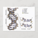 Search for acidic postcards Dna