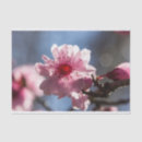 Search for backlit Floral
