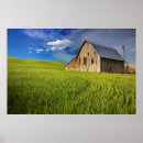 Search for colfax posters Abundance