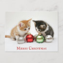 Search for christmas kitten postcards Humour