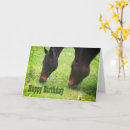 Search for horse friend birthday cards Animal