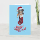 Search for australian shepherd christmas cards Santa