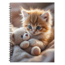 Search for kitten playing Cute kitty