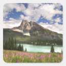 Search for yoho stickers Mountain