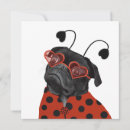 Search for bug lover cards Ladybug