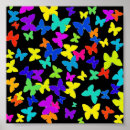 Search for colorful butterflies posters Insect