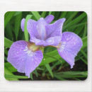 Search for iris garden electronics Flora