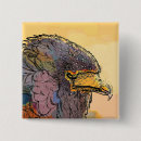 Search for hawks badges Harris hawk