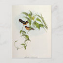 Search for humming postcards 19th