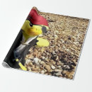 Search for costume gift wrap Fun