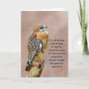 Search for limbs cards Birds