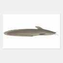 Search for catfish stickers Lake