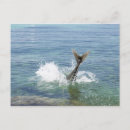 Search for big game postcards Nature