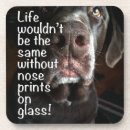 Search for labrador barware Pet