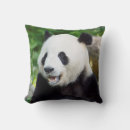 Search for giant panda cushions Smithsonian
