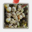 Search for france christmas tree decorations Bordeaux