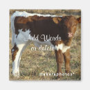 Search for bovine magnets Cattle